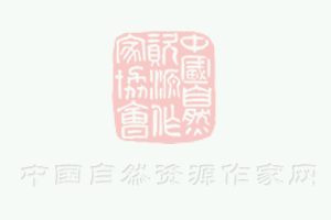 洗發(fā)水配方：含有多種天然植物精華，滋養(yǎng)頭皮和發(fā)絲