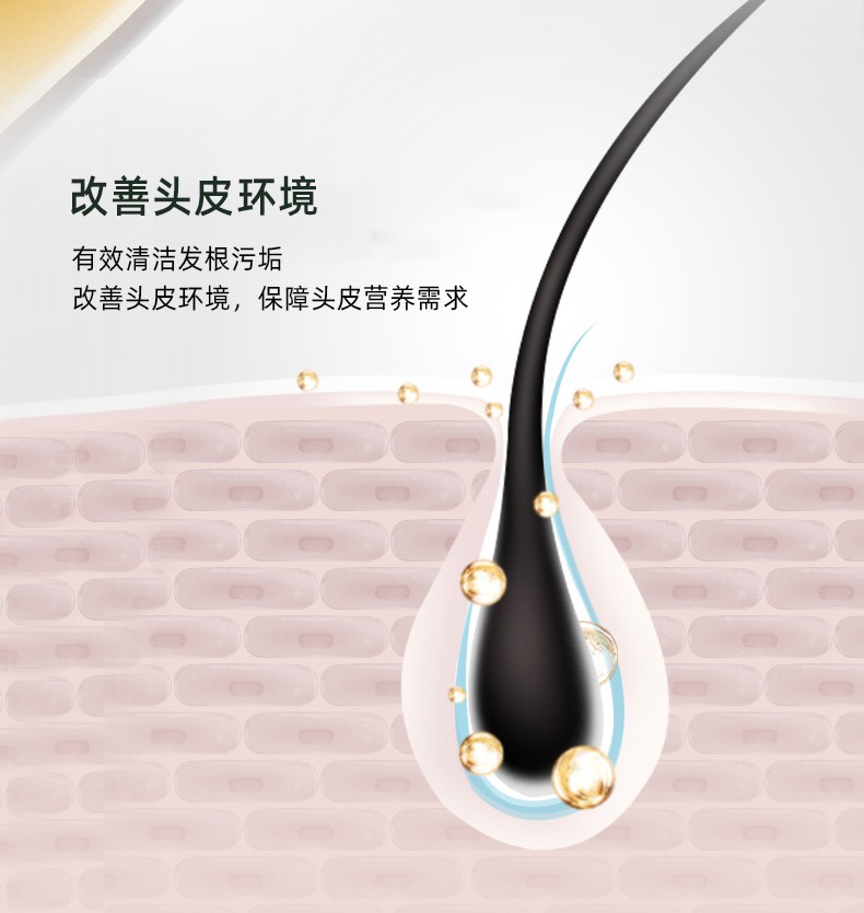 改善頭皮環(huán)境   有效清潔發(fā)根污垢   改善頭皮環(huán)境，保障頭皮營養(yǎng)需求